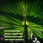 Saw Palmetto Supplement 5000 mg with Pumpkin Seed, 300 Capsules | Promotes Prostate Health | DHT Blocker | Hair Growth Vitamins, Maintain Normal Urinary Frequency