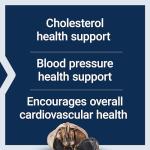 Life Extension Aged Black Garlic, Heart Health Support Supplement, Blood Pressure Health Support, Cholesterol Health Support, Once-Daily, Gluten Free, Vegetarian, Non-GMO, 30 Capsules