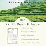 UJITYA Ceremonial Grade Matcha Powder AA 1.06oz Tin, Japanese JAS Certified Organic, Antioxidant Rich with Caffeine & L-Theanine for Focus & Relaxation, Kosher Non-GMO Green Tea (1.06oz)