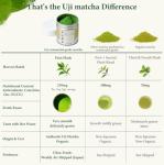 UJITYA Ceremonial Grade Matcha Powder AA 1.06oz Tin, Japanese JAS Certified Organic, Antioxidant Rich with Caffeine & L-Theanine for Focus & Relaxation, Kosher Non-GMO Green Tea (1.06oz)