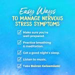 Boiron Gelsemium 30C Homeopathic Medicine for Relief from Stress, Nervousness, Apprehension, and Stage Fright - 3 Count (240 Pellets)