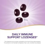 Nature's Way Sambucus Immune Lozenges, Zinc + Vitamin C, Black Elderberry Extract, USDA Certified Organic, Original Berry Flavored, 24 Lozenges (Packaging May Vary)