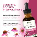 HerbWHOLESOME Echinacea Herb Drops for Immune System Support, 5-in-1 Herbal Supplement Combat Free Radicals w/Goldenseal Thyme Elderberry, Fast-Acting & Concentrated Liquid Tincture. 2oz