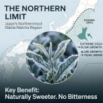 MIZUNOE Matcha Ceremonial Grade Matcha Powder – Authentic Japanese First Harvest Premium Matcha Powder Tea, 100% Pure Unsweetened, Green Tea for Ceremonial Barista Teahouse, Latte, Baking & Desserts (40g / 1.4oz)