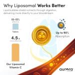 Vida Lifescience Aurora Nutrascience Mega-Pack Liposomal Vitamin C, Immune Support, 3,000 mg per Serving, Vegan, Gluten Free, Non-GMO, 32 Single Serve Packets, Orange