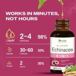 HerbWHOLESOME Echinacea Herb Drops for Immune System Support, 5-in-1 Herbal Supplement Combat Free Radicals w/Goldenseal Thyme Elderberry, Fast-Acting & Concentrated Liquid Tincture. 2oz