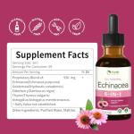 HerbWHOLESOME Echinacea Herb Drops for Immune System Support, 5-in-1 Herbal Supplement Combat Free Radicals w/Goldenseal Thyme Elderberry, Fast-Acting & Concentrated Liquid Tincture. 2oz