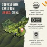 Numi Organic Green Tea with Jasmine, 18 Microplastic-Free Tea Bags