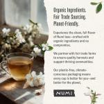 Numi Organic Green Tea with Jasmine, 18 Microplastic-Free Tea Bags
