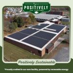 Organic Positively Tea Company, Pinhead Gunpowder Green Tea, Loose Leaf, 16 Ounce