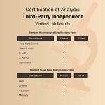 Magnesium Complex 500mg, 300 Capsules | 10-in-1 Magnesium Glycinate, Citrate, Malate & More | Chelated Form for Easy Absorption | Non-GMO