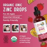 MaryRuth Organics Organic Strawberry Lemon Ionic Zinc, 4 FZ