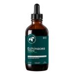 Mountain Meadow Herbs Echinacea Xtreme Herbal Extract – Echinacea Angustifolia & Purpurea Blend, Daily Immune Support Supplement, Plant-Based Wellness Tincture, 4 oz