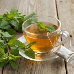 GLDNT Organic Green Tea Bags, Natural Pure Organic Green Tea, Super Antioxidant, Caffeinated, 100 Count