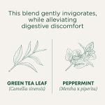 Organic Peppermint Green Tea – 16 Tea Bags