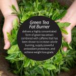 Applied Nutrition Green Tea Fat Burner Soft-Gels