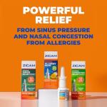 Zicam Extreme Nasal Congestion Relief Spray, 0.5 Oz