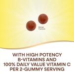 Nature's Way Alive! Vitamin B Gummies, 60 Count