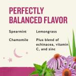 Sleepytime Echinacea Immune Boost Tea Bags, Caffeine-Free