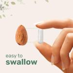 Micro Ingredients Pure Methylated B Complex, 240 Capsules | 11-in-1 Formula with Methylfolate, B12, Thiamin, Inositol, Choline, & Fat Soluble Vitamin C | Clean Ingredients Without Fillers | Non-GMO