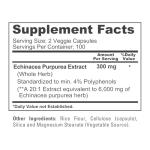 NusaPure Echinacea 20:1 Extract, 300 mg Equivalent to 6,000mg 200 Veggie Caps, Vegan, Non-GMO, Gluten Free Supplement