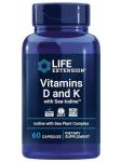 Life Extension Vitamins D and K with SeaIodine Bone Brain Thyroid Arterial Support Non GMO Once Daily Gluten Free, 60 Count