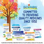 Boiron ColdCalm Tablets for Relief of Common Cold Symptoms Such as Sneezing, Runny Nose, Sore Throat, and Nasal Congestion - Non-Drowsy - 120 Count (2 Pack)