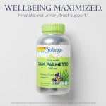 SOLARAY Saw Palmetto Berries 580 mg - Prostate Supplements for Men - Prostate Health, Urinary Tract Support, Hair Health, w/Fatty Acids and Plant Sterols, Vegan, 60-Day Guarantee, 360 VegCaps
