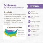 Back to The Roots 100% Organic Seed Packet - Echinacea 'Purple Coneflower' 210mg