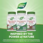 Nature's Way Saw Palmetto Berries, Traditional Prostate Support*, 585 mg per serving, Non-GMO Project Verified, Vegan, 100 Capsules (Packaging May Vary)