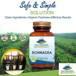 Pure Mountain Botanicals Echinacea Capsules Supplement - Kosher Vegan Caps with 420mg Organic Echinacea Root