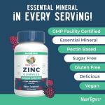 MaryRuth Organics Zinc Gummies | Zinc Supplements | Immune Support Supplement | Essential Mineral | Pectin Based | Overall Health & Wellness | Ages 14 & Up | Vegan | Non GMO | 30 Servings
