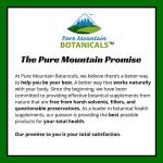 Pure Mountain Botanicals Echinacea Capsules Supplement - Kosher Vegan Caps with 420mg Organic Echinacea Root