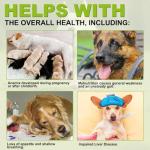 Milk Thistle Chewables for Dogs - Liver Support