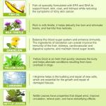 Milk Thistle Chewables for Dogs - Liver Support