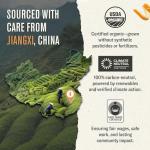 Numi Organic Gunpowder Green Tea Bags, 18-Count