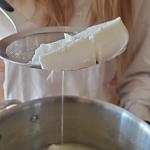 Cultures for Health Chevre Starter Culture | 4 Packets Mesophilic Powdered Active Cultures | Gluten Free Non-GMO Soft Goat Cheese | Beginner Friendly Artisan Cheesemaking | DIY Fresh Spreadable Cheese