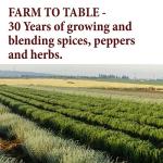 The Spice Way Granulated Garlic - Domestic, US Grown (8 oz) resealable bag