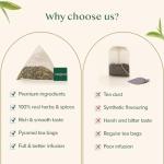 VAHDAM, Himalayan Green Tea (30 Count) High Grown, Non GMO, Gluten Free, Med Caffeine | Earthy & Smooth | Resealable & Individually Wrapped | Plant-Based Pyramid Tea Bags