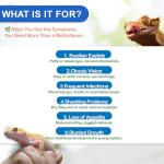 NUTRIARISE Reptile Vitamin A Supplement – Eye Health Support for Lizards, Turtles, Snakes & Amphibians – Promotes Growth, Vision & Immunity