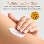 Fruit of the Earth, Vitamin E Lotion, 16 oz