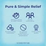 Boiron Echinacea Purpurea 30C for Sore Throat Pain with Fatigue - 80 Pellets