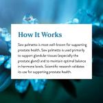 Nature's Sunshine Saw Palmetto, 100 Capsules, Kosher | Naturally Helps Improve Prostate Health and Helps Balance Hormones for Adult Men and Women