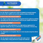 NUTRIARISE Reptile Vitamin A Supplement – Eye Health Support for Lizards, Turtles, Snakes & Amphibians – Promotes Growth, Vision & Immunity
