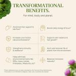 Modern Antidote Microplastic Detox - Sulforaphane, Milk Thistle & NAC Daily Drink Mix for Detoxing, Skin Aging Support, Brain Fog, Liver Support, Energy & Focus - 1 Tbsp/Serving - 28 Servings