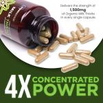 OmniBiotics Organic Milk Thistle Supplement 1500mg – 4X Concentrated Extract with Silymarin – High Potency Liver Detox & Support – 120 Vegan Capsules