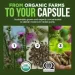 OmniBiotics Organic Milk Thistle Supplement 1500mg – 4X Concentrated Extract with Silymarin – High Potency Liver Detox & Support – 120 Vegan Capsules