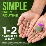 OmniBiotics Organic Milk Thistle Supplement 1500mg – 4X Concentrated Extract with Silymarin – High Potency Liver Detox & Support – 120 Vegan Capsules