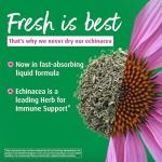 A. Vogel Echinaforce Immune Support Liquid Drops