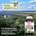 FITO MEDIC Saw Palmetto Capsules - 120 Count